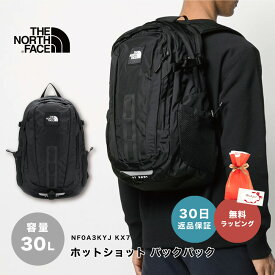 【30日返品保証】 ノースフェイス リュック バッグ ノースフェイス THE NORTH FACE ザ・ノース・フェイス Hot Shot SE ホットショット リュック 30L ブラック 男女兼用 A4サイズ収納 ブランド 発送