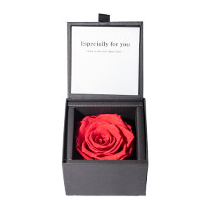 OP[X vUu[ht[ o KN Mtg v[g bsO ޏ o^C _Ch[Y UE av[g FB NX}X Ε