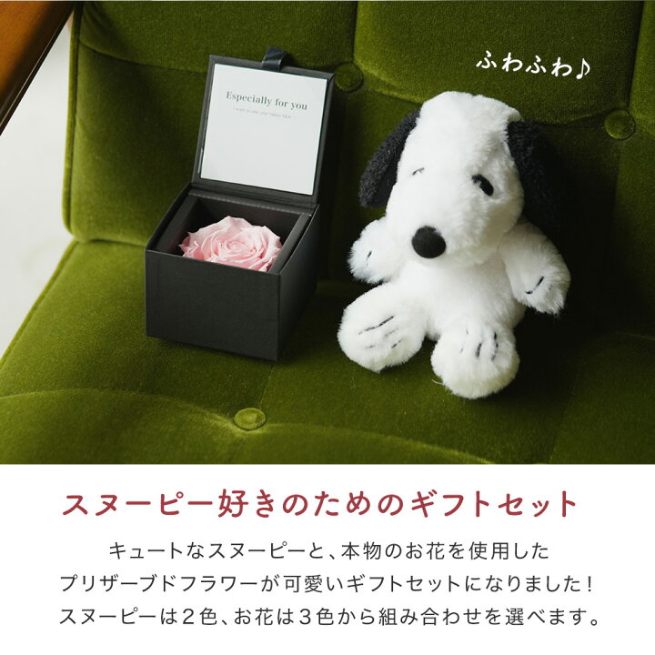 楽天市場 スヌーピー ローズギフトセット フラワーギフト プリザーブドフラワー ジュエリーバラ ぬいぐるみ バラ ラッピング プレゼント 女性 プロポーズ 女性 彼女 奥さん かわいい 薔薇 ローズ お花 ふわふわ 人形 マスコット スヌーピー好き ギフト専門店 The Wow 楽天市場 スヌーピー ローズギフトセット フラワーギフト プリザーブドフラワー ジュエリーバラ ぬいぐるみ バラ ラッピング プレゼント 女性 プロポーズ 女性 彼女 奥さん かわいい 薔薇 ローズ お花 ふわふわ 人形 マスコット スヌーピー好き ギフト専門店 The Wow