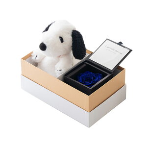 Xk[s[[YMtgZbg t[Mtg vU[uht[ WG[o ʂ o  v|[Y  ޏ 킢 KN [Y  l` }XRbg Xk[s[