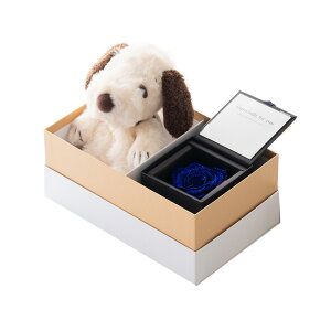 Xk[s[[YMtgZbg t[Mtg vU[uht[ WG[o ʂ o  v|[Y  ޏ 킢 KN [Y  l` }XRbg Xk[s[