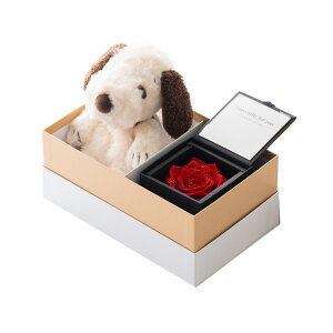 Xk[s[[YMtgZbg t[Mtg vU[uht[ WG[o ʂ o  v|[Y  ޏ 킢 KN [Y  l` }XRbg Xk[s[