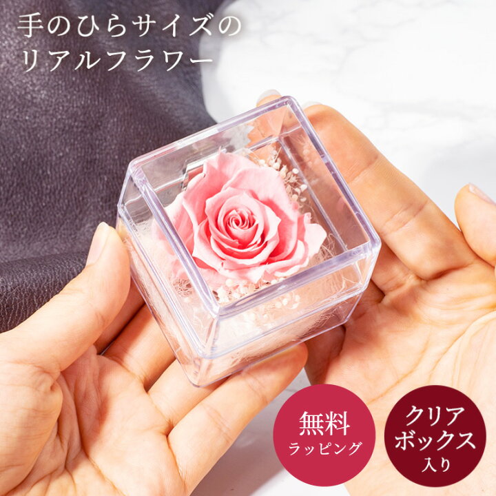 楽天市場 プリザーブドフラワー プレゼント 結婚記念日 お誕生日 結婚祝い 退職祝い 送別会 定年 卒業 発表会 お見舞い フラワーギフト お花 造花 かわいい プレゼントと一緒に ギフト専門店 The Wow 楽天市場 プリザーブドフラワー プレゼント 結婚記念日 お誕生日 結婚祝い 退職祝い 送別会 定年 卒業 発表会 お見舞い フラワーギフト お花 造花 かわいい プレゼントと一緒に ギフト専門店 The Wow