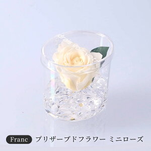 ~j[Y vU[uht[ KN LO j LO a j ސEj ʉ N  \  t[Mtg   킢 v[gƈꏏ U