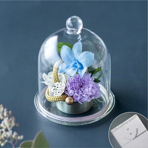  vU[uht[ 悩   AWg vU[uht[  h[  d ފ ~ ~ 49 r Op @  ~ ~ UE