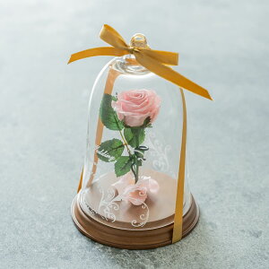  KN vU[uht[ x^ KXh[ o 1{o VR_Ch v|[Y Ɩb LO av[g    l O v[g 