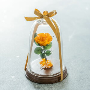  KN vU[uht[ x^ KXh[ o 1{o VR_Ch v|[Y Ɩb LO av[g    l O v[g 