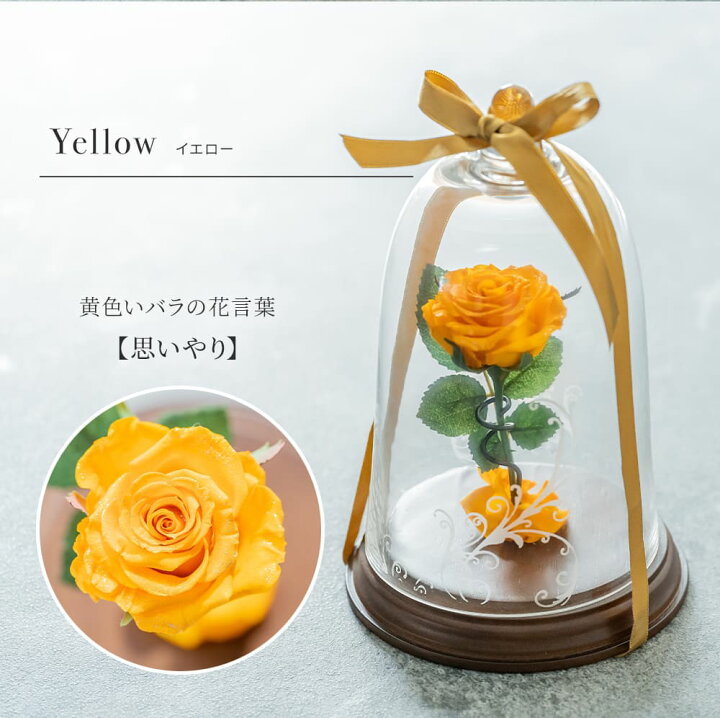 楽天市場】名入れ 一輪薔薇 プリザーブドフラワー ベル型 ガラスドーム 