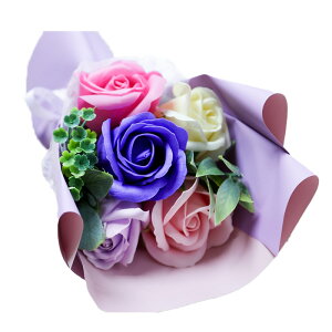 \[vt[ X^hL[g V{u[P5 ԑ  u[P  Mtg j LO a j ސEj ʉ N  \ t[Mtg  