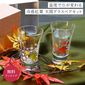 酒器 陶器 セット グラス コップの人気商品 通販 価格比較 価格 Com 酒器 陶器 セット グラス コップの人気商品 通販 価格比較 価格 Com