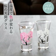 冷感桜 グラス天開ペアセット 丸モ高木陶器 酒器 グラス 冷酒グラス 冷酒 日本酒 ラッピング ギフト ペア…