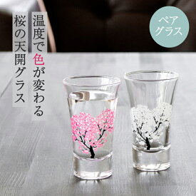 冷感桜 グラス天開ペアセット 丸モ高木陶器 酒器 グラス 冷酒グラス 冷酒 日本酒 ラッピング ギフト ペアギフト プレゼント