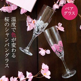冷感桜 シャンパングラスペアセット 丸モ高木陶器 165cc 酒器 グラス シャンパン お祝い ラッピング ギフト ペアギフト プレゼント