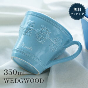  EGbWEbh}OJbv 300ml 1 Jbv }O uh EFbWEbh }OJbv Wedgwood tFXeBreB eB[Jbv Mtg R[q[Jbv EGbWEbh  H t