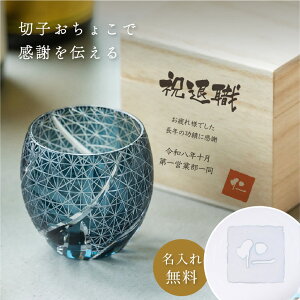 ӕ  ؎q 傱 100mli˔j ؎q OX ˔  LR  傱  v[g Mtg Zbg 蕨 ̓ ̓ i җj ސEj ʏj L