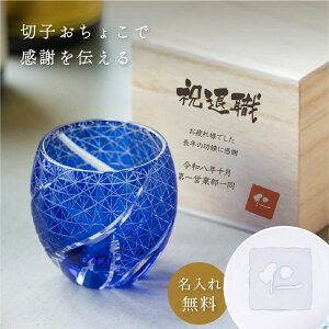 ӕ  ؎q 傱 100mli˔j ؎q OX ˔  LR  傱  v[g Mtg Zbg 蕨 ̓ ̓ i җj ސEj ʏj L
