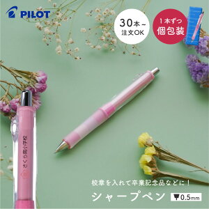 y30{璍OKzS hN^[Obv CL vC{[_[ 0.5mm  V[y HDGCL-50R pCbg V[vyV v[g J[}[N Mtg Z NLO w Z w