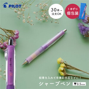 y30{璍OKzS hN^[Obv CL vC{[_[ 0.5mm  V[y HDGCL-50R pCbg V[vyV v[g J[}[N Mtg Z NLO w Z w