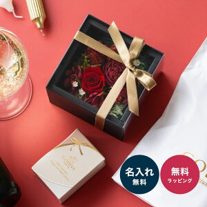 SfBoNbL[ & vU[uht[ MtgZbg XC[c GODIVA t[Mtg   fB[X 20 30 40 50  v[g 蕨 Mtg Ăَq UE a