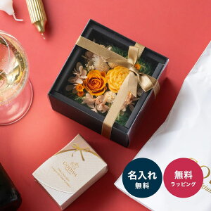 SfBoNbL[ & vU[uht[ MtgZbg XC[c GODIVA t[Mtg   fB[X 20 30 40 50  v[g 蕨 Mtg Ăَq UE a