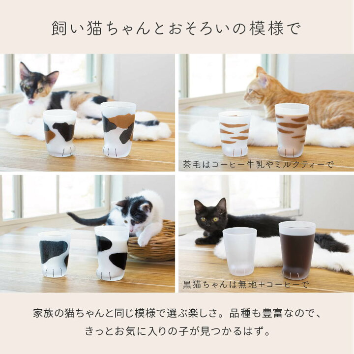 楽天市場】名入れ アデリア グラス coconeco ここねこ コップ 