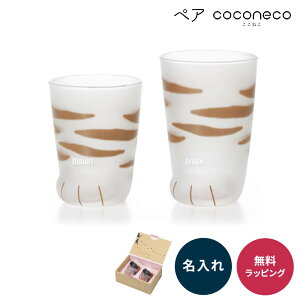 ������ �O���X �A�f���A �e�q�y�A �y�A �L�D�� �v���[���g �����˂� �R�b�v coconeco �e�q�Z�b�g �M�t�g �L�O���X �L�O�b�Y �L�� ���� �e�q �^���u���[ �O���X �˂� ���� �l�R �H�� ���g�� �A
