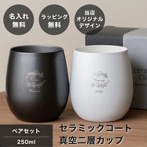  Z~bNR[g^2wJbv yAZbg  yA Zbg XeX Z~bN yA^u[ 250ml ^fM O O 2Zbg j EGfBO Vz 