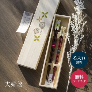  vw j Mtg  Zbg ꖳ   ˔ v[g e LO  ߂Ɣ җj  j Mtg j j˔ v[g yA Mt