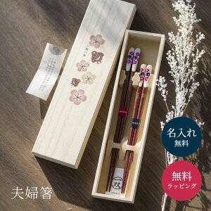 vw j Mtg  Zbg ꖳ   ˔ v[g e LO  ߂Ɣ җj  j Mtg j j˔ v[g yA Mt