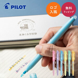 y10ZbgOKz SyP[Xt Ə PILOT tNVCg uyZbg \tgJ[  ׋ 10 w v[g 蕨 Mtg IWi Əj wj