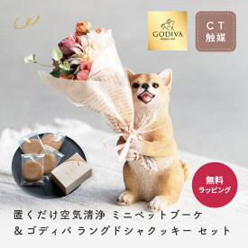 置くだけ空気清浄 ミニペットブーケ ゴディバクッキー 母の日 ギフト プレゼント CT触媒 造花 フラワー アレンジメント 置物 オブジェ インテリア 玄関 リビング GODIVA ラングドシャ 猫 犬 ウサギ 人気 即日発送 ザワウ 母の日