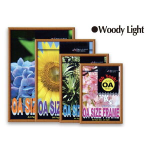 OATCYt[ B5 EbfBCg IF-60@Ae  |X^[pl t[ pl z  X^ht