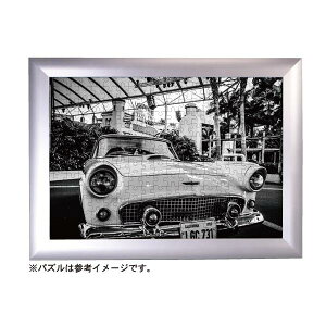 tbp WO\[pYt[ 10-T 510×735mm Vo[ VP-10T-SV@Ae WO\[pY t[ z A~ pY  ݂艺