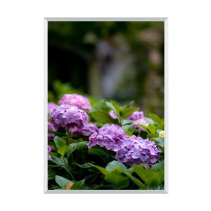 JrA B3 Vo[ VQ-B3-SV@Ae |X^[t[ |X^[pl z t[ A~ |X^[ p  ݂艺 g{