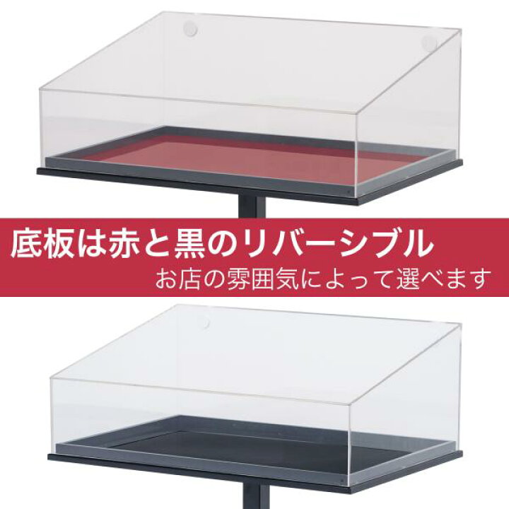 楽天市場】新サンプルケーススタンド W665 ｜ 店舗 飲食店 食品 