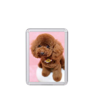 |X^[t[ X fBAObv (MG-25R) B4TCY p/ z z |X^[pl Obv Ŕ \ ǌŒ OJ tgI[v X HX  Vo[ |X^[ t[ 