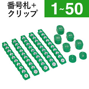 1`50 Nbv + ԍD O[ X`[N[N`PbgA^ @bF N[ND N[N`Pbg eqD aD ԍ  D D J[h yA `Pbg ԍNbv pi 