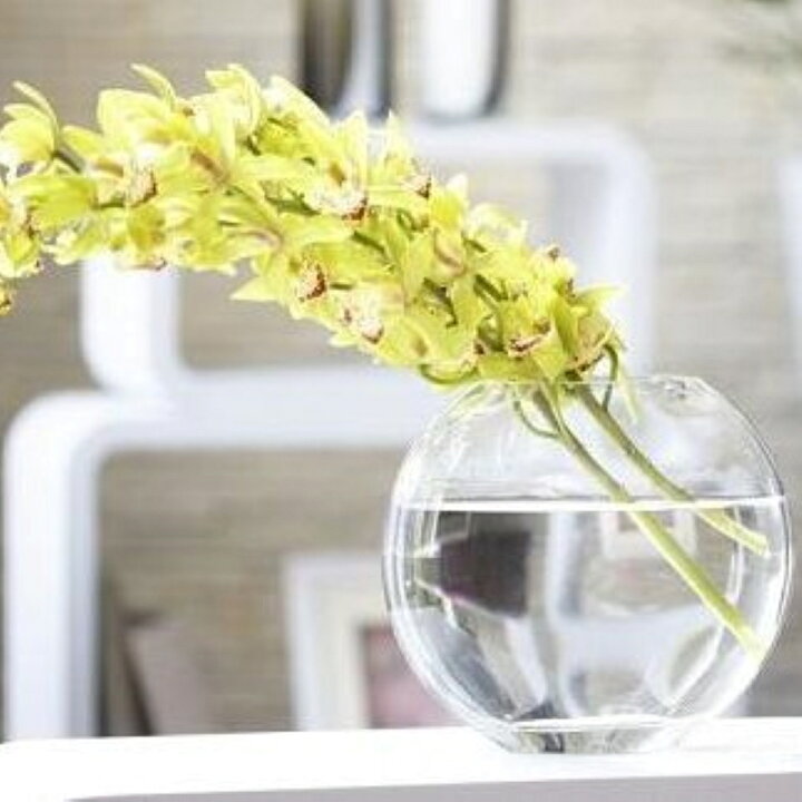 楽天市場 25センチ 金魚 メダカ 透明 丸 鉢 金魚鉢 ガラス ボール 小 中 大 特大 丸い 花瓶 ガラス花器 テラリウム アクアリウム ボトルアクアリウム バブルボウル ボトルテラリウム 苔テラリウム コケリウム ガラスボール 砂あび 砂場 砂あそび すなあび ガラス製 容器