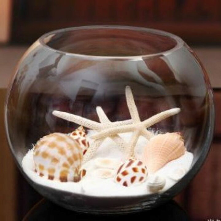 楽天市場 25センチ 金魚 メダカ 透明 丸 鉢 金魚鉢 ガラス ボール 小 中 大 特大 丸い 花瓶 ガラス花器 テラリウム アクアリウム ボトルアクアリウム バブルボウル ボトルテラリウム 苔テラリウム コケリウム ガラスボール 砂あび 砂場 砂あそび すなあび ガラス製 容器