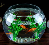 訳ありB級品 17センチ 金魚 メダカ 透明 丸 鉢 金魚鉢 ガラス ボール 小 中 丸い 花瓶 ガラス花器 テラリ…