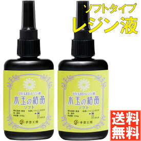 手芸工房 レジン液 ソフトタイプ 大容量 日本製 透明 1液性 UV-LED対応 100g×2本 レジン ソフト 水玉の結晶 匂わない 低刺激 uvレジン液 uvレジン ソフトレジン 200g