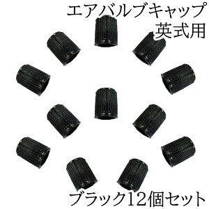 reiri ]ԗp p GAouLbv  (ubN12)