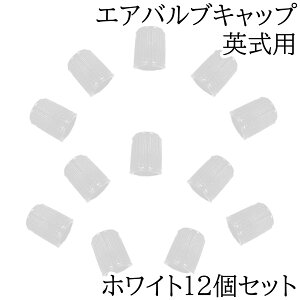 reiri ]ԗp p GAouLbv  (zCg12)