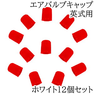 reiri ]ԗp p GAouLbv  (bh12)