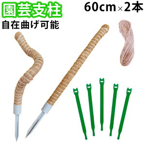 reiri |x  Ȃ\ Ax 60cm 2{ Ђ5m oh5{ t