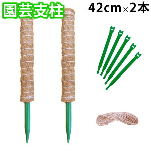 reiri |x Ax 42cm 2{ Ђ5m oh5{ t