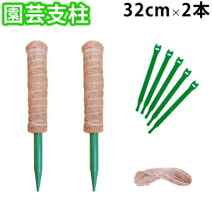 reiri |x Ax 32cm 2{ Ђ5m oh5{ t