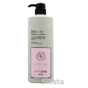 fNVI v CMCg[gg1000g x[~bNXcw