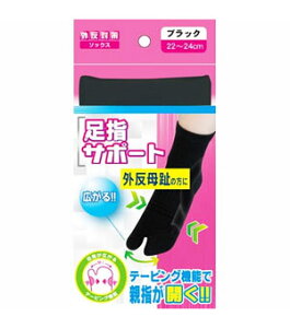 y10Zbgz O΍\bNX wT|[g ubN 22-24cm×10ZbgyKiz