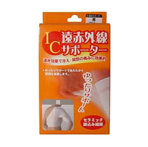 y10Zbgz nVEjbg ACV[ ԊOT|[^[ (1)×10ZbgyKiz